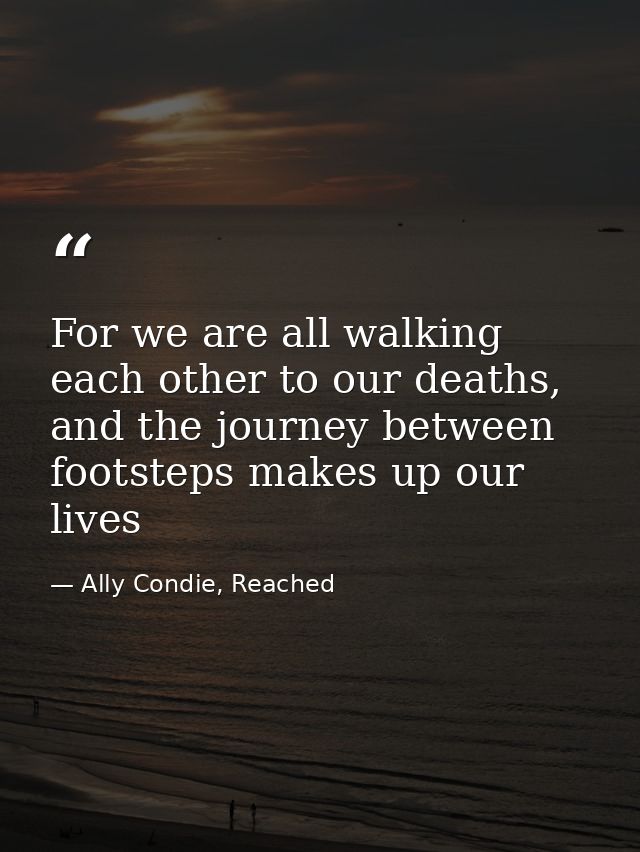 For we are all walking each other to our deaths, and the journey between footsteps makes up our lives — Ally Condie, Reached
