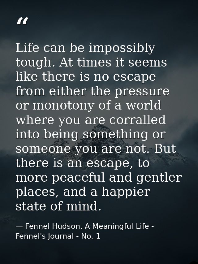 Life can be impossibly tough. At times it seems like there is no escape from either the pressure or monotony of a world  — Fennel Hudson, A Meaningful Life - Fennel's Journal - No. 1