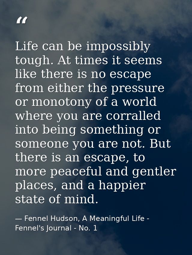 Life can be impossibly tough. At times it seems like there is no escape from either the pressure or monotony of a world  — Fennel Hudson, A Meaningful Life - Fennel's Journal - No. 1