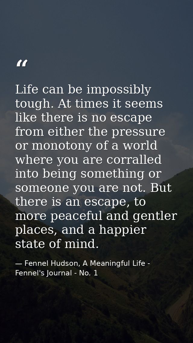 Life can be impossibly tough. At times it seems like there is no escape from either the pressure or monotony of a world  — Fennel Hudson, A Meaningful Life - Fennel's Journal - No. 1