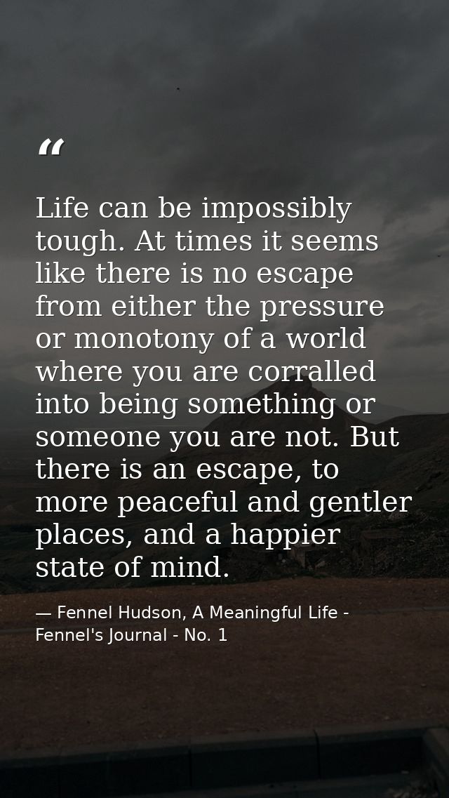 Life can be impossibly tough. At times it seems like there is no escape from either the pressure or monotony of a world  — Fennel Hudson, A Meaningful Life - Fennel's Journal - No. 1