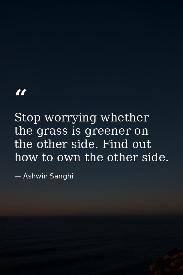 Stop worrying whether the grass is greener on the other side. Find out how to own the other side. — Ashwin Sanghi