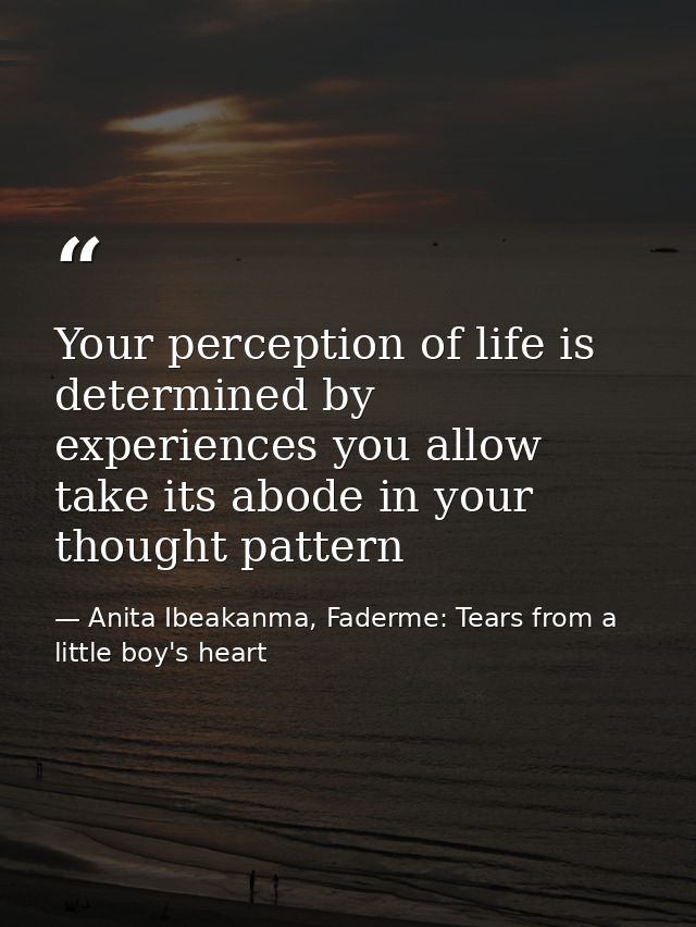 Your perception of life is determined by experiences you allow take its abode in your thought pattern — Anita Ibeakanma, Faderme: Tears from a little boy's heart