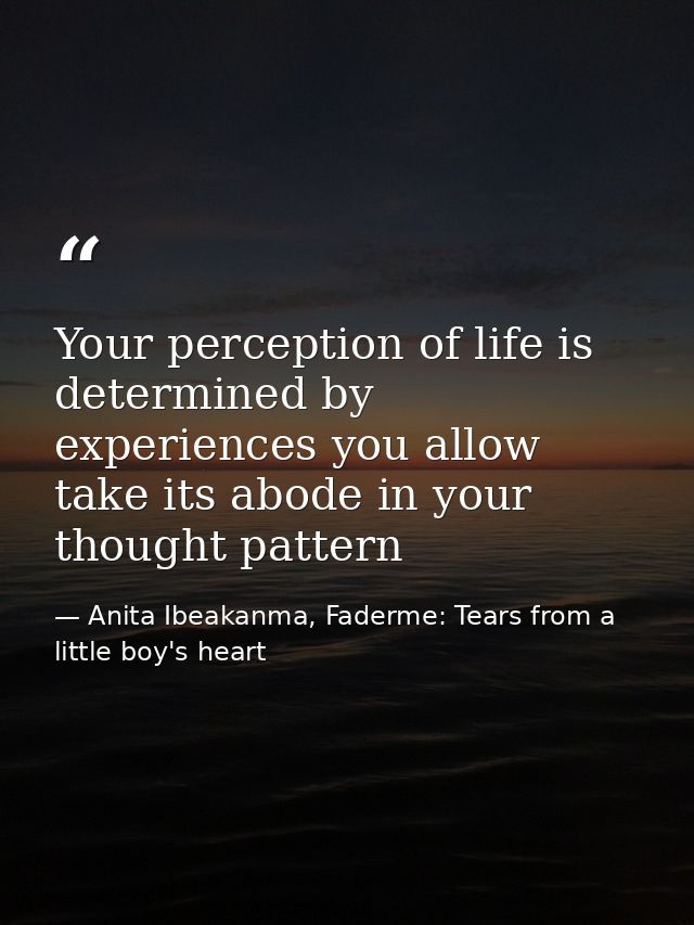 Your perception of life is determined by experiences you allow take its abode in your thought pattern — Anita Ibeakanma, Faderme: Tears from a little boy's heart