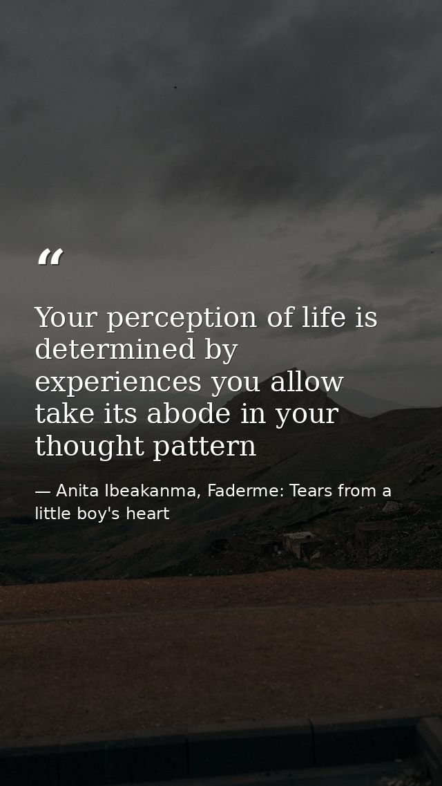 Your perception of life is determined by experiences you allow take its abode in your thought pattern — Anita Ibeakanma, Faderme: Tears from a little boy's heart