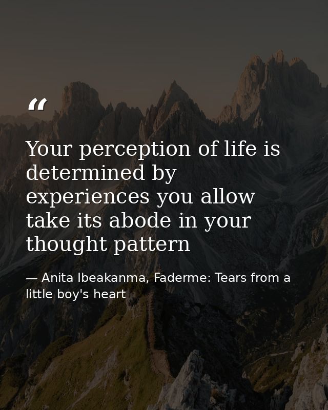 Your perception of life is determined by experiences you allow take its abode in your thought pattern — Anita Ibeakanma, Faderme: Tears from a little boy's heart