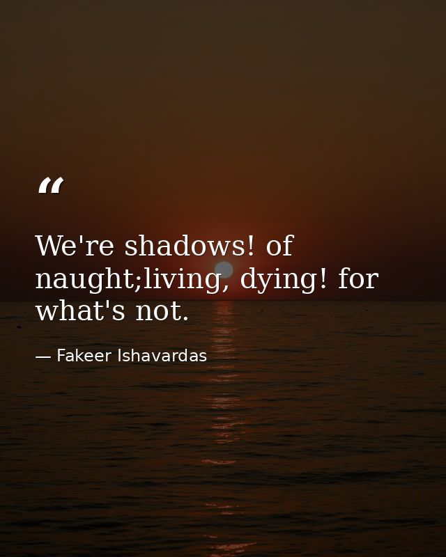 We're shadows! of naught;living, dying! for what's not. — Fakeer Ishavardas