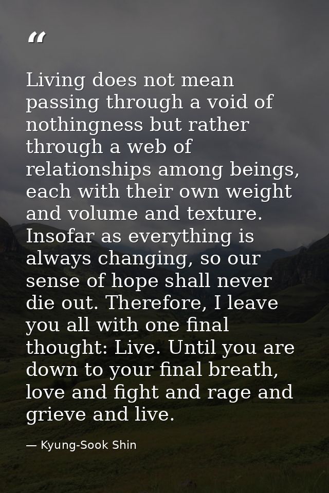 Living does not mean passing through a void of nothingness but rather through a web of relationships among beings, each  — Kyung-Sook Shin