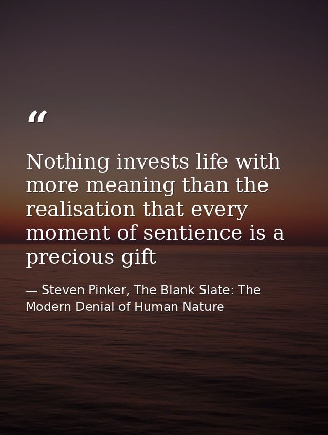 Nothing invests life with more meaning than the realisation that every moment of sentience is a precious gift — Steven Pinker, The Blank Slate: The Modern Denial of Human Nature