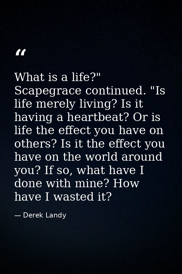 What is a life?" Scapegrace continued. "Is life merely living? Is it having a heartbeat? Or is life the effect you have  — Derek Landy