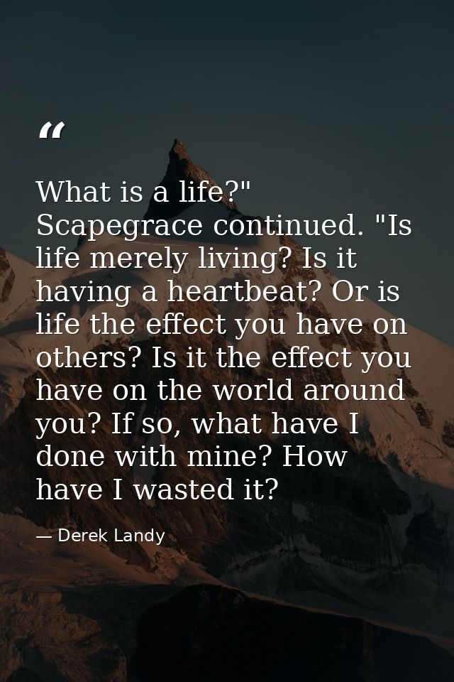 What is a life?" Scapegrace continued. "Is life merely living? Is it having a heartbeat? Or is life the effect you have  — Derek Landy