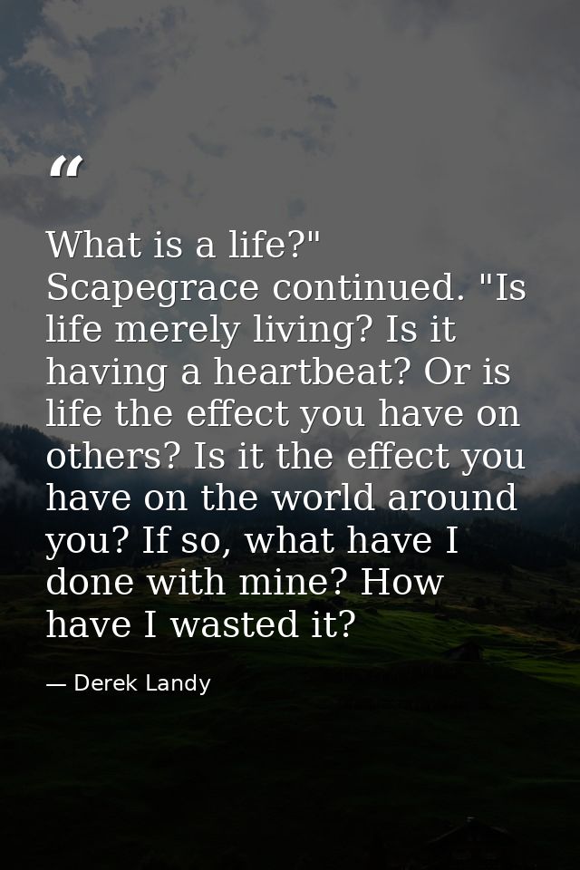 What is a life?" Scapegrace continued. "Is life merely living? Is it having a heartbeat? Or is life the effect you have  — Derek Landy