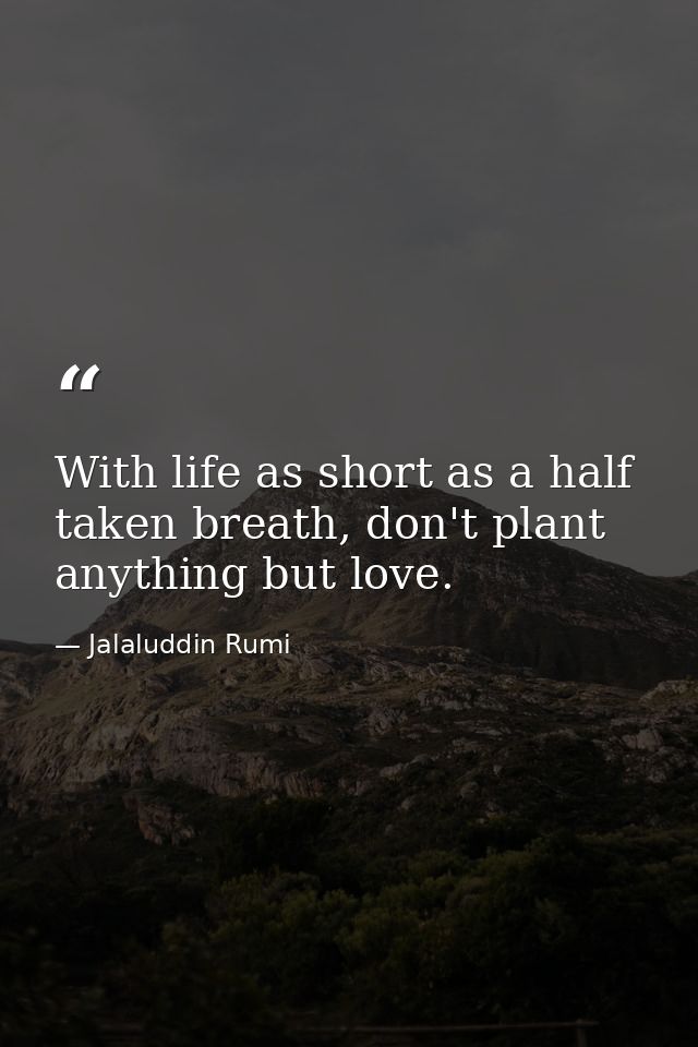 With life as short as a half taken breath, don't plant anything but love. — Jalaluddin Rumi