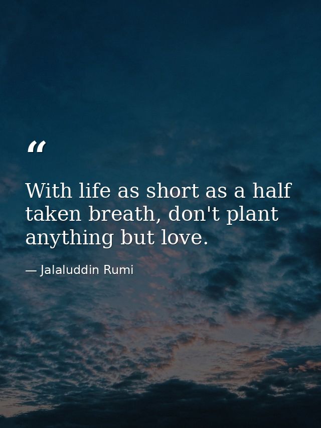 With life as short as a half taken breath, don't plant anything but love. — Jalaluddin Rumi