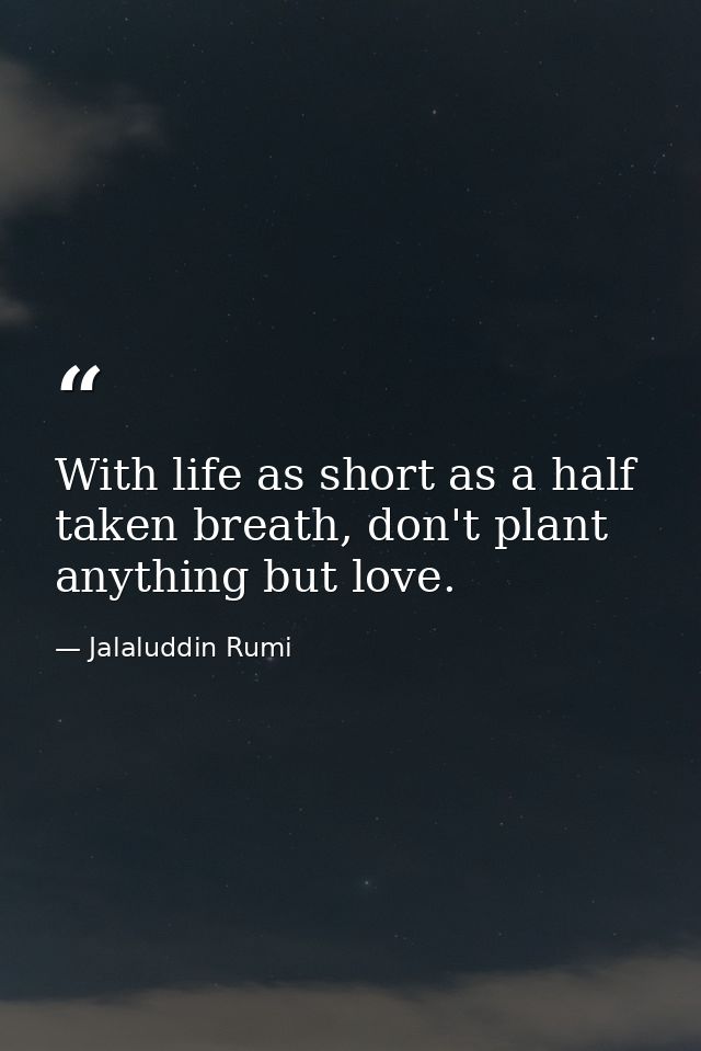 With life as short as a half taken breath, don't plant anything but love. — Jalaluddin Rumi