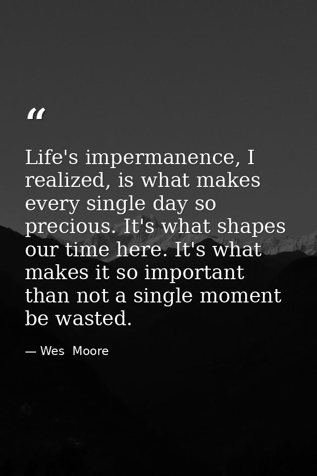 Life's impermanence, I realized, is what makes every single day so precious. It's what shapes our time here. It's what m — Wes  Moore