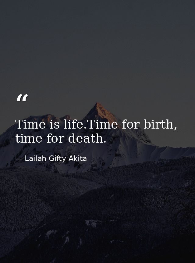 Time is life.Time for birth, time for death. — Lailah Gifty Akita