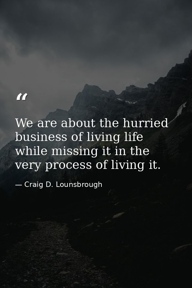We are about the hurried business of living life while missing it in the very process of living it. — Craig D. Lounsbrough