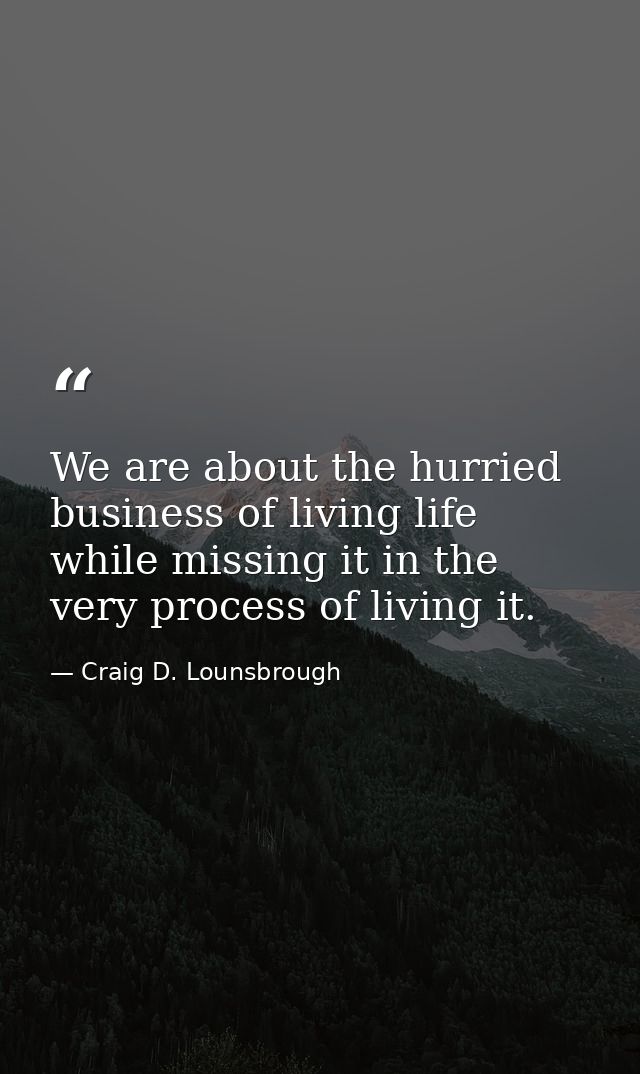 We are about the hurried business of living life while missing it in the very process of living it. — Craig D. Lounsbrough