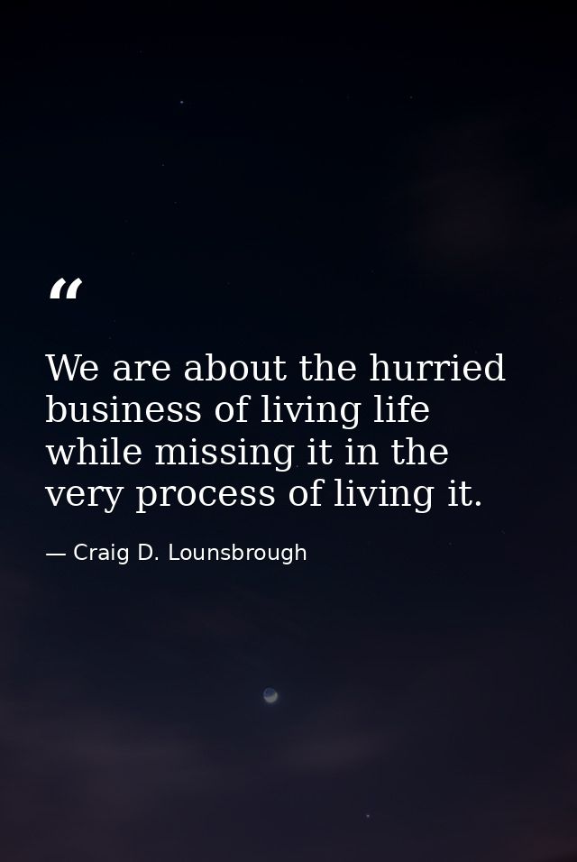 We are about the hurried business of living life while missing it in the very process of living it. — Craig D. Lounsbrough