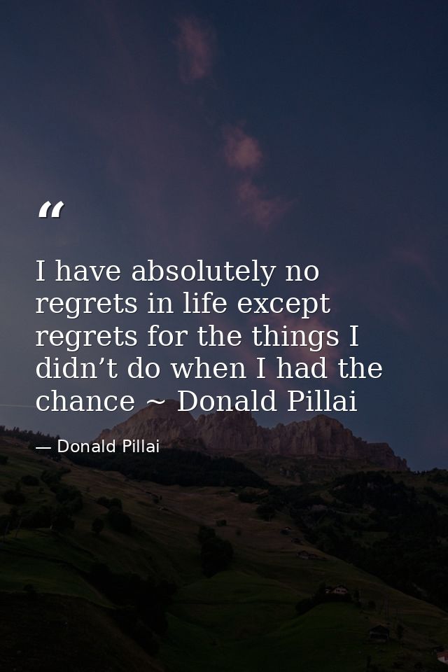 I have absolutely no regrets in life except regrets for the things I didn’t do when I had the chance ~ Donald Pillai — Donald Pillai