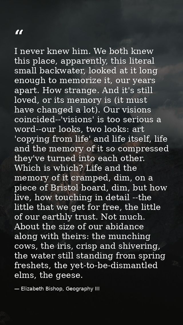 I never knew him. We both knew this place, apparently, this literal small backwater, looked at it long enough to memoriz — Elizabeth Bishop, Geography III