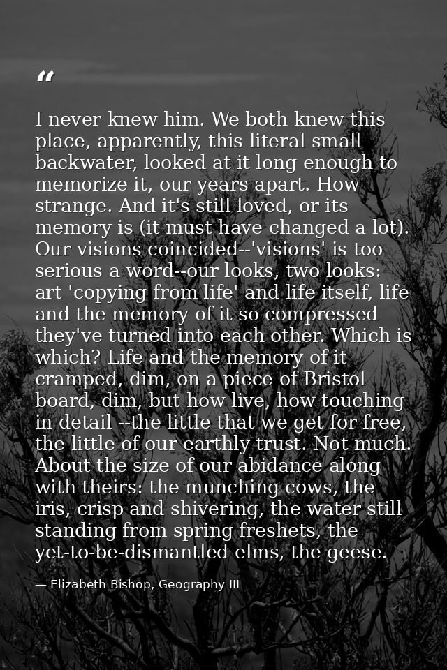 I never knew him. We both knew this place, apparently, this literal small backwater, looked at it long enough to memoriz — Elizabeth Bishop, Geography III