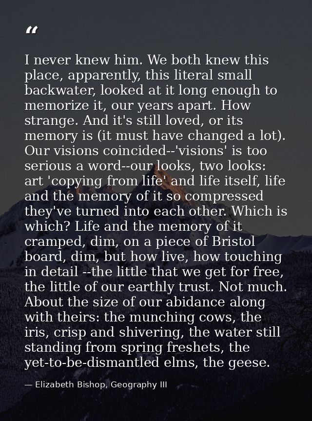 I never knew him. We both knew this place, apparently, this literal small backwater, looked at it long enough to memoriz — Elizabeth Bishop, Geography III