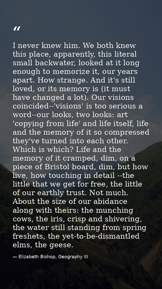 I never knew him. We both knew this place, apparently, this literal small backwater, looked at it long enough to memoriz — Elizabeth Bishop, Geography III