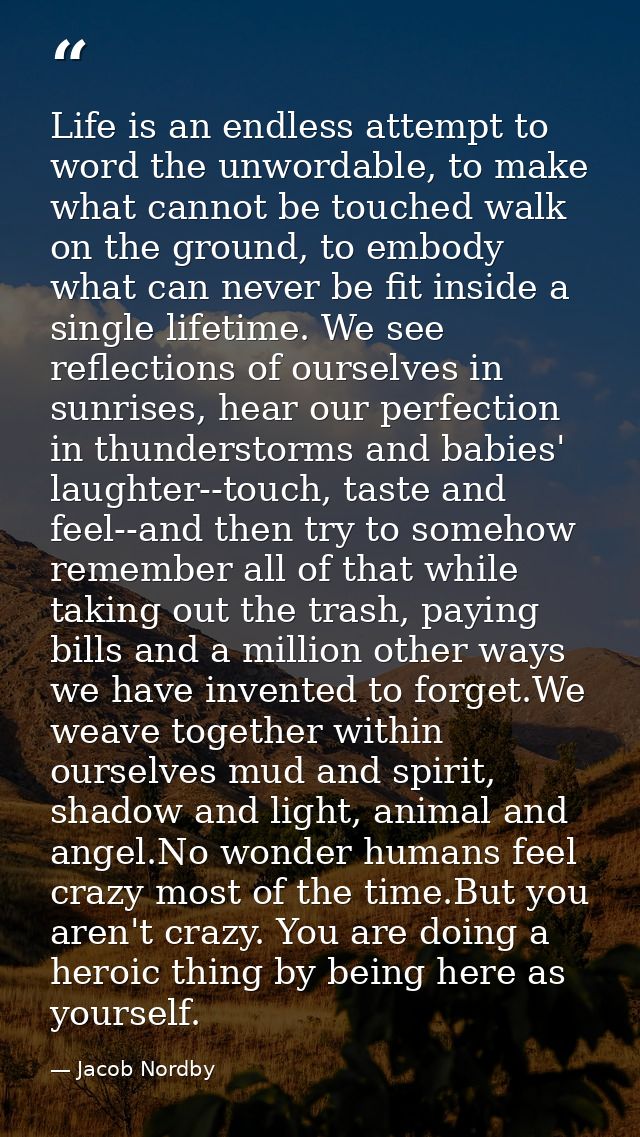 Life is an endless attempt to word the unwordable, to make what cannot be touched walk on the ground, to embody what can — Jacob Nordby