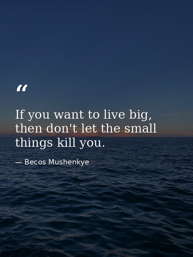 If you want to live big, then don't let the small things kill you. — Becos Mushenkye