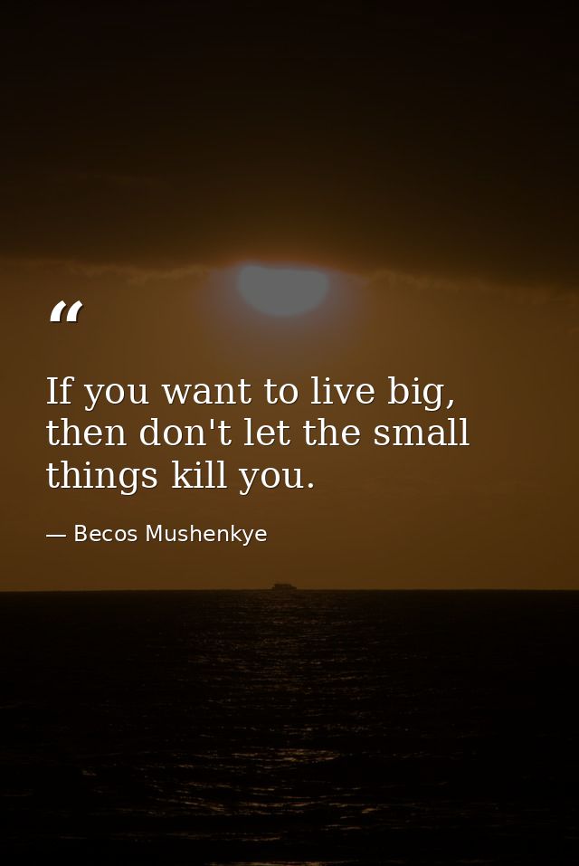 If you want to live big, then don't let the small things kill you. — Becos Mushenkye