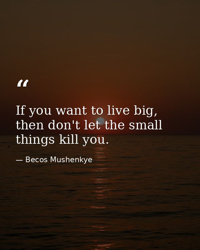 If you want to live big, then don't let the small things kill you. — Becos Mushenkye