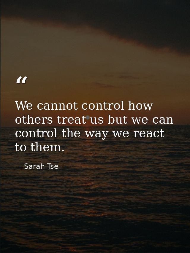 We cannot control how others treat us but we can control the way we react to them. — Sarah Tse