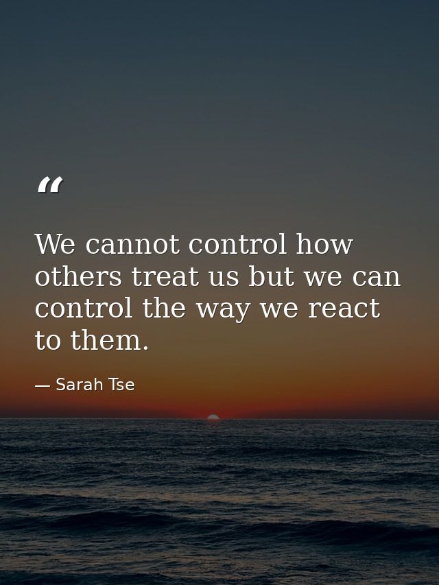 We cannot control how others treat us but we can control the way we react to them. — Sarah Tse