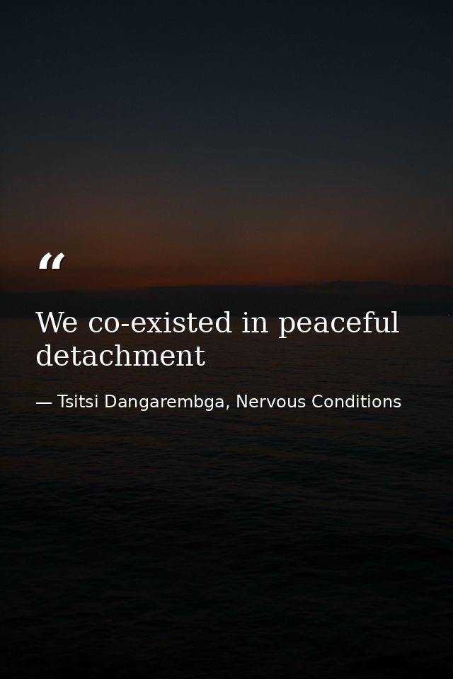 We co-existed in peaceful detachment — Tsitsi Dangarembga, Nervous Conditions