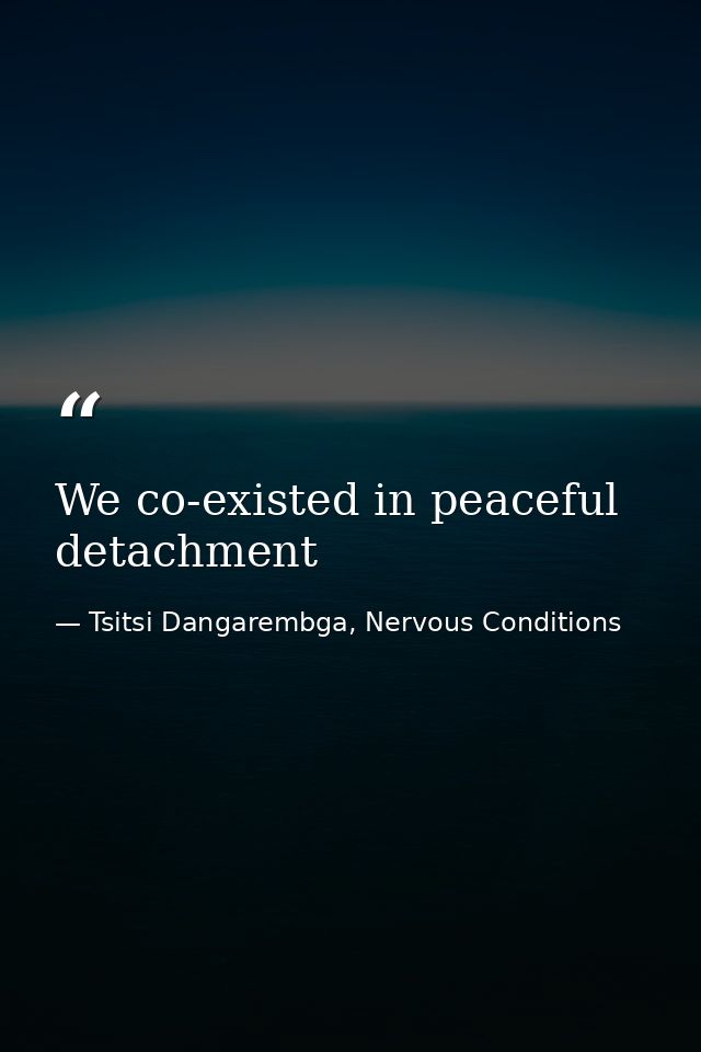 We co-existed in peaceful detachment — Tsitsi Dangarembga, Nervous Conditions