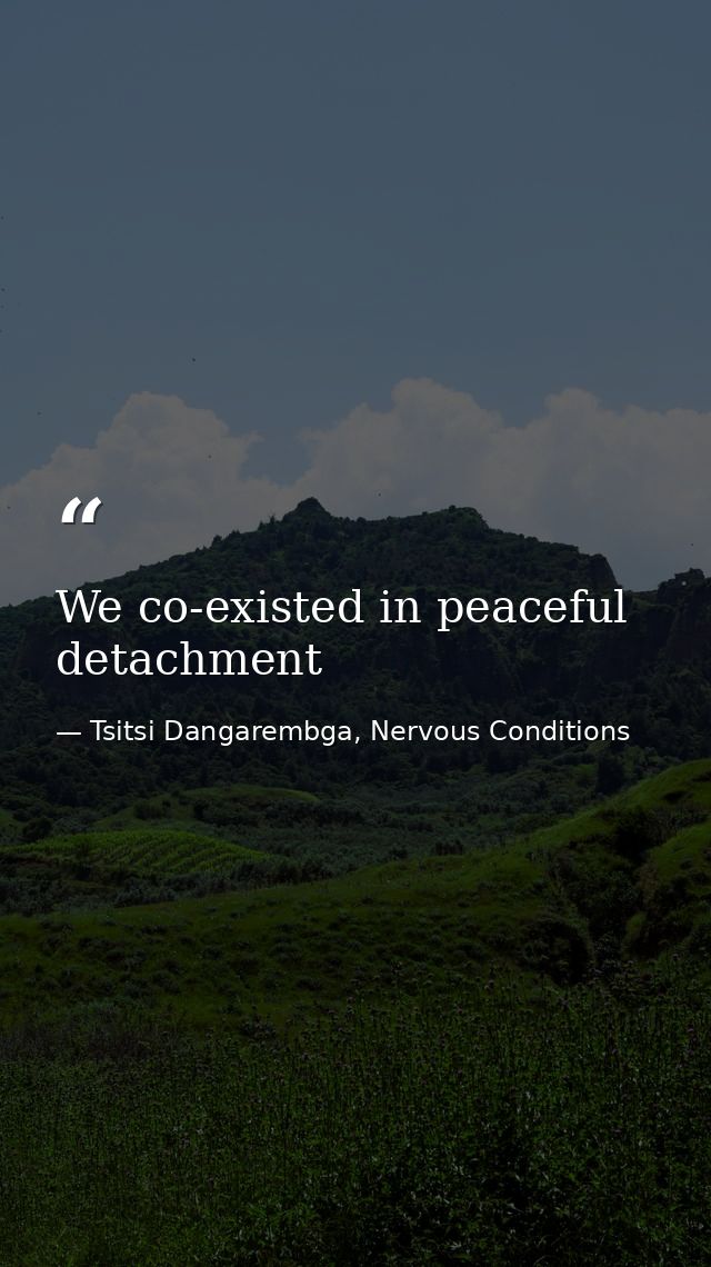 We co-existed in peaceful detachment — Tsitsi Dangarembga, Nervous Conditions