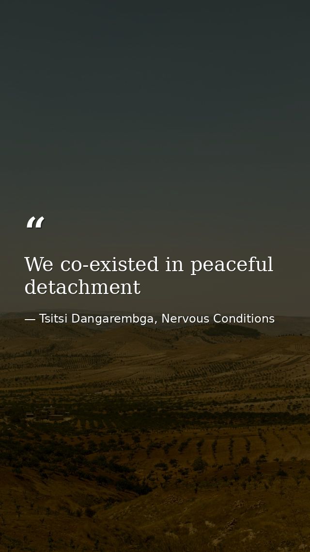 We co-existed in peaceful detachment — Tsitsi Dangarembga, Nervous Conditions