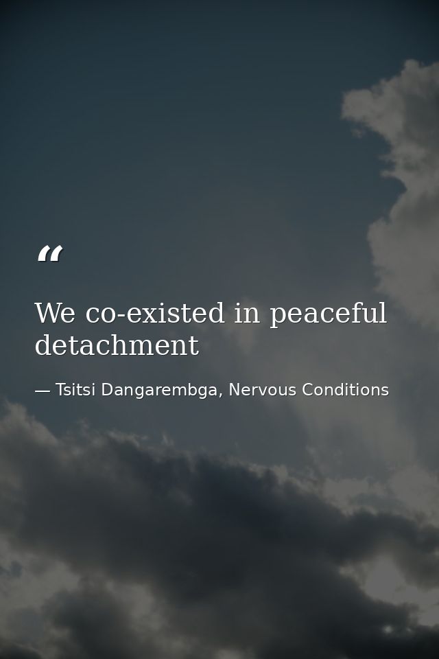 We co-existed in peaceful detachment — Tsitsi Dangarembga, Nervous Conditions