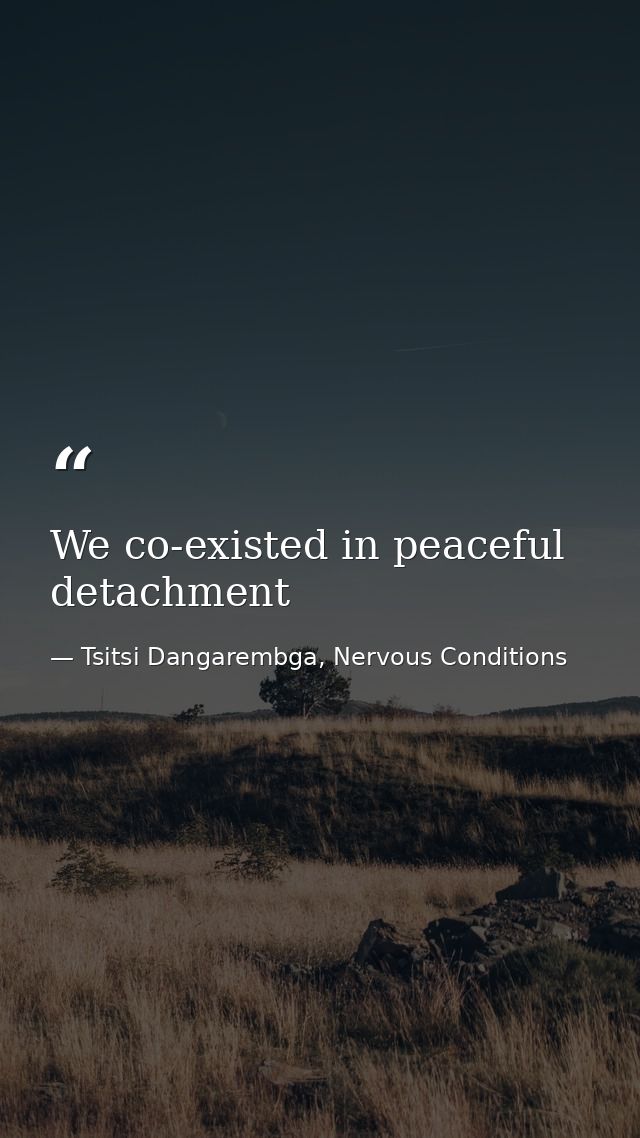 We co-existed in peaceful detachment — Tsitsi Dangarembga, Nervous Conditions