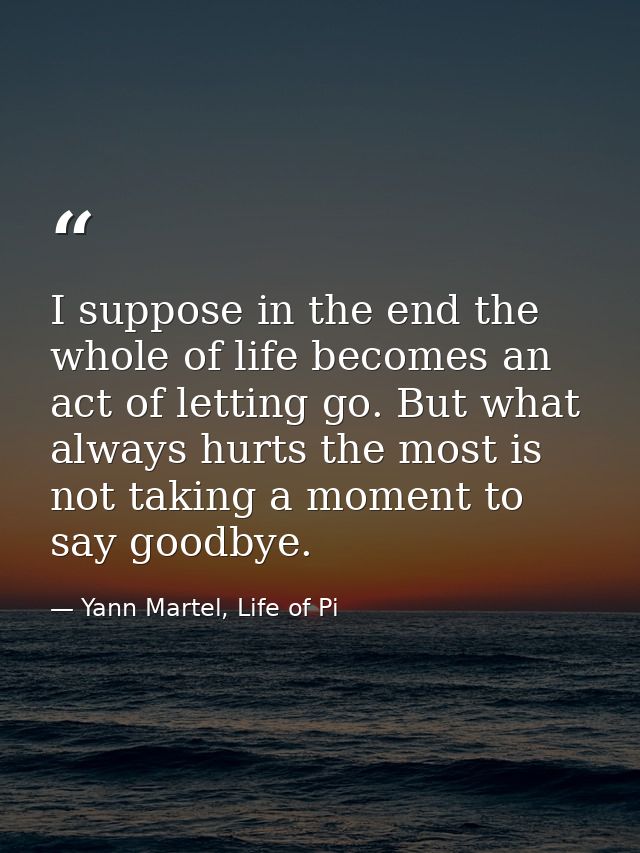 I suppose in the end the whole of life becomes an act of letting go. But what always hurts the most is not taking a mome — Yann Martel, Life of Pi