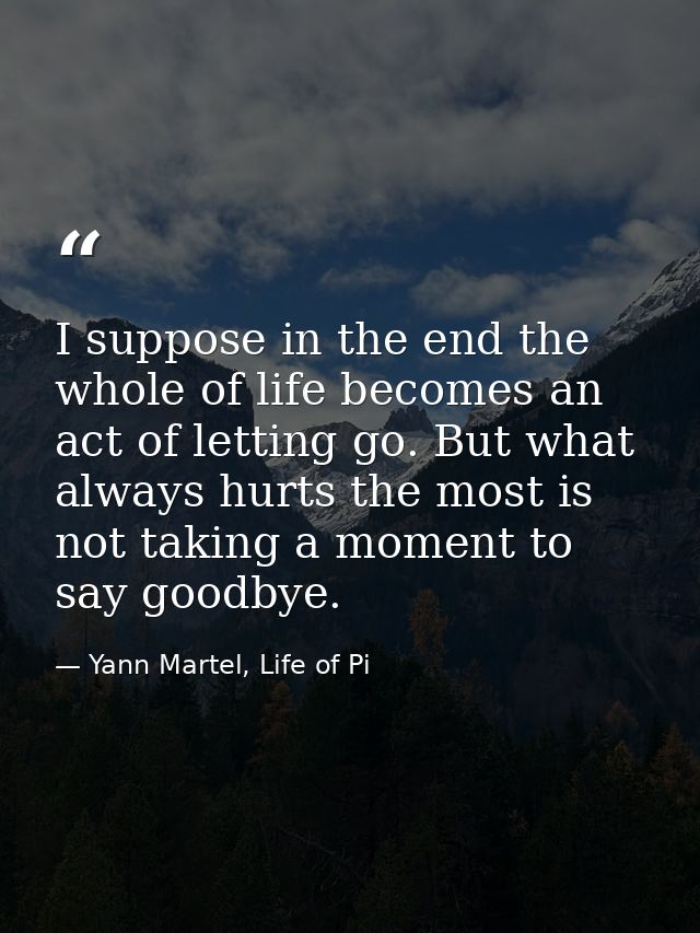 I suppose in the end the whole of life becomes an act of letting go. But what always hurts the most is not taking a mome — Yann Martel, Life of Pi