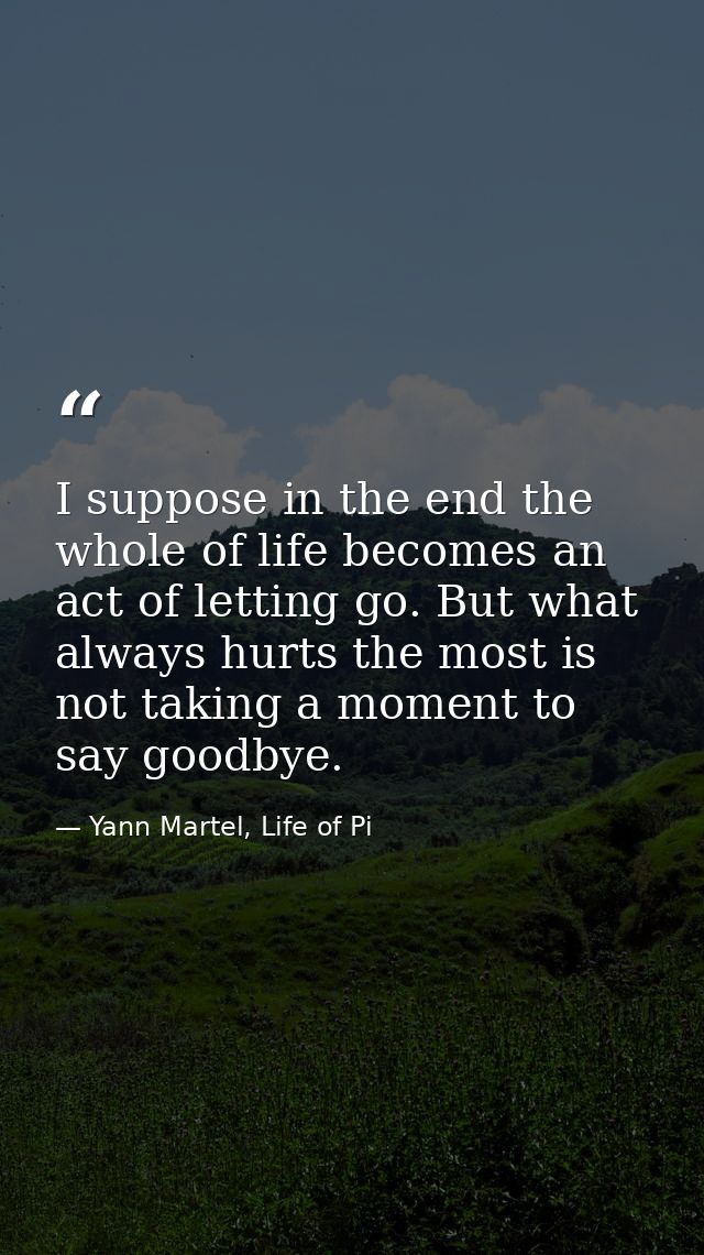I suppose in the end the whole of life becomes an act of letting go. But what always hurts the most is not taking a mome — Yann Martel, Life of Pi