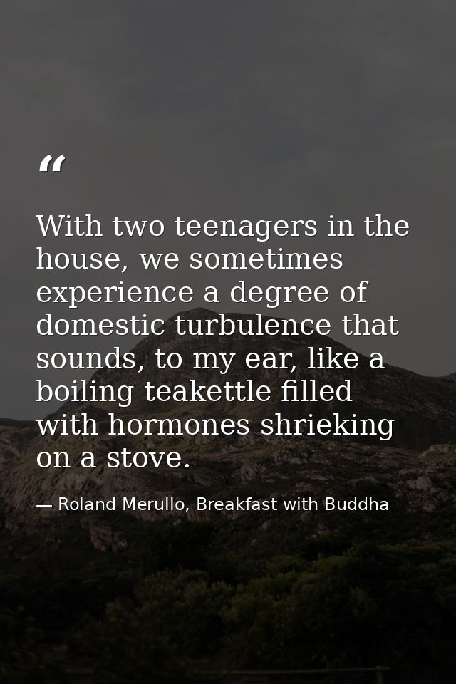 With two teenagers in the house, we sometimes experience a degree of domestic turbulence that sounds, to my ear, like a  — Roland Merullo, Breakfast with Buddha