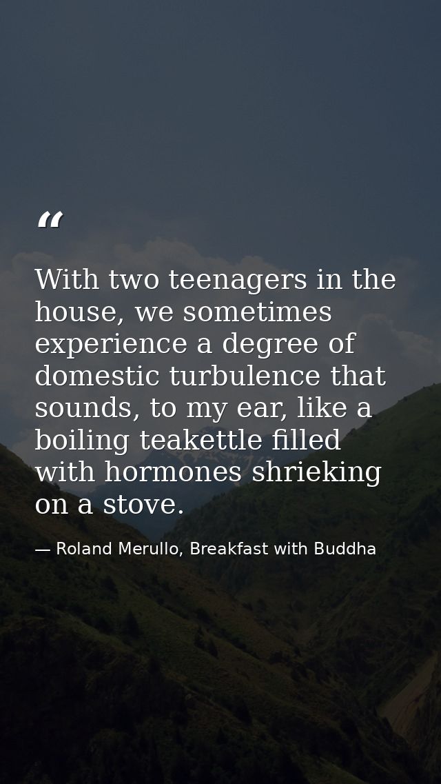 With two teenagers in the house, we sometimes experience a degree of domestic turbulence that sounds, to my ear, like a  — Roland Merullo, Breakfast with Buddha