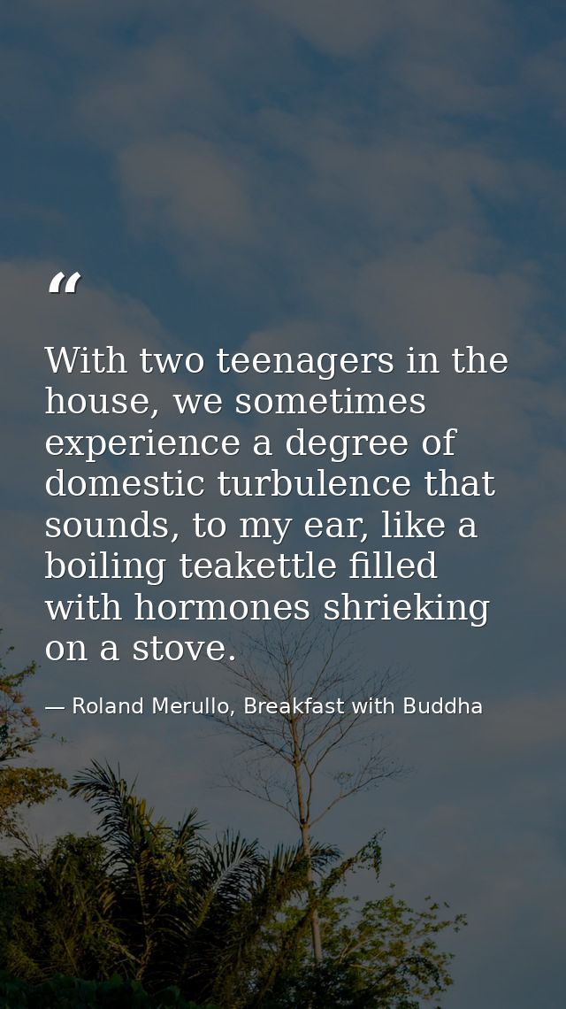 With two teenagers in the house, we sometimes experience a degree of domestic turbulence that sounds, to my ear, like a  — Roland Merullo, Breakfast with Buddha