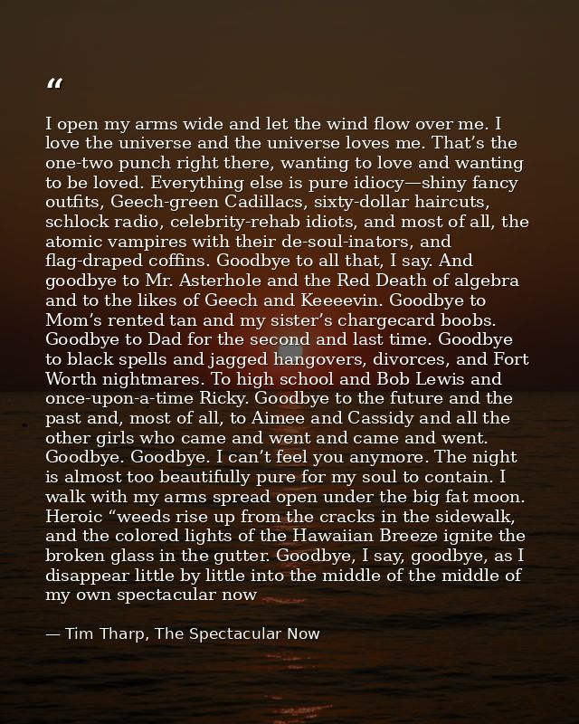I open my arms wide and let the wind flow over me. I love the universe and the universe loves me. That’s the one-two pun — Tim Tharp, The Spectacular Now