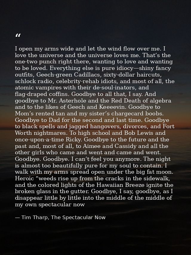 I open my arms wide and let the wind flow over me. I love the universe and the universe loves me. That’s the one-two pun — Tim Tharp, The Spectacular Now