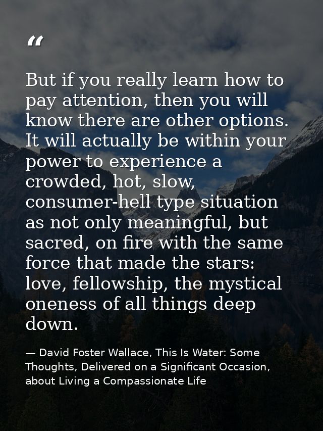 But if you really learn how to pay attention, then you will know there are other options. It will actually be within you — David Foster Wallace, This Is Water: Some Thoughts, Delivered on a Significant Occasion, about Living a Compassionate Life